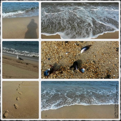 hfleqjfleq.jpeg hfleqjfleq.jpeg