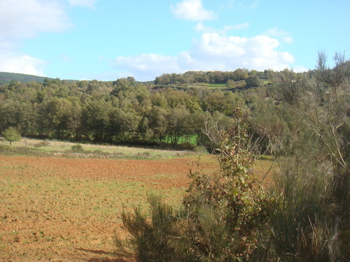 PAISAGEM.JPG