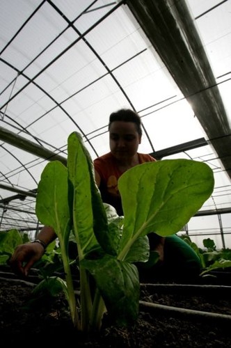 988563.jpg 988563.jpg