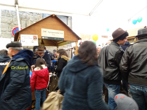 Feira do Queijo Em Seia !!! 194.jpg