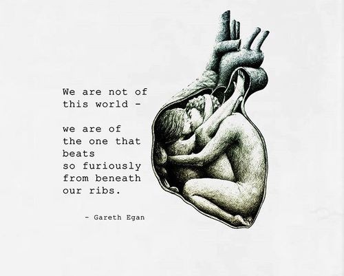 150073480410013.jpg 150073480410013.jpg