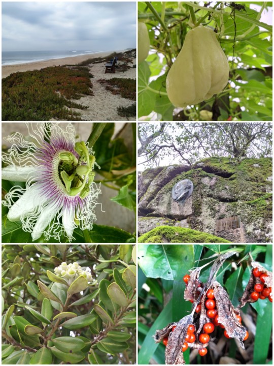 IMG_20210114_221338.jpg IMG_20210114_221338.jpg