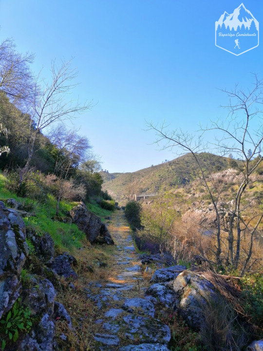 Photo_1583864055950.jpg Photo_1583864055950.jpg