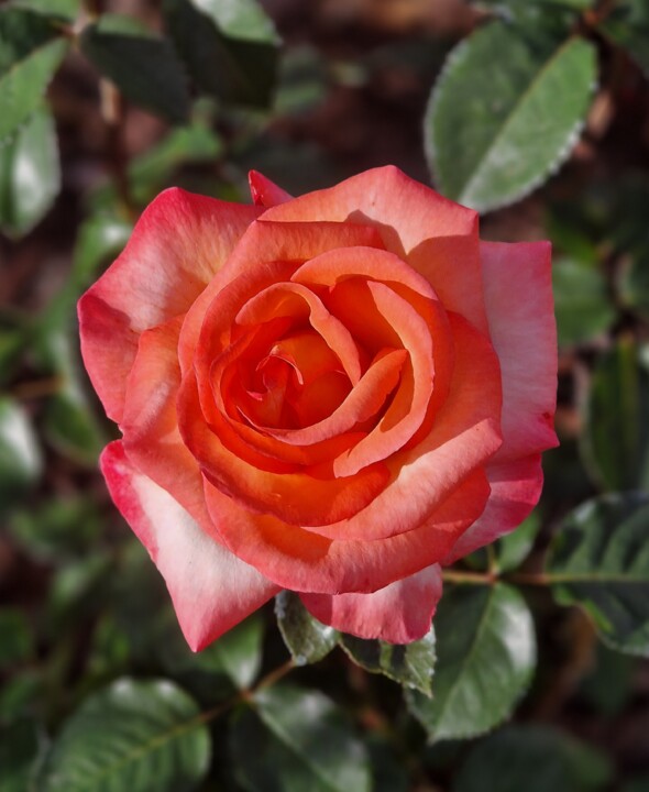 20240428_184746 1.jpg