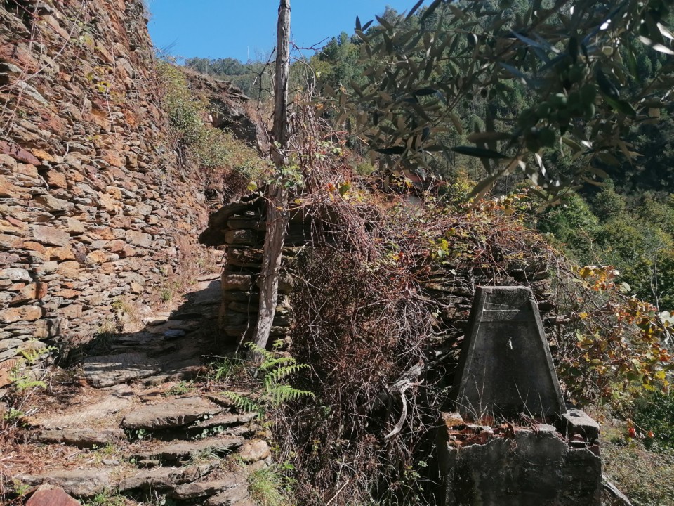 IMG_20201010_125938.jpg IMG_20201010_125938.jpg