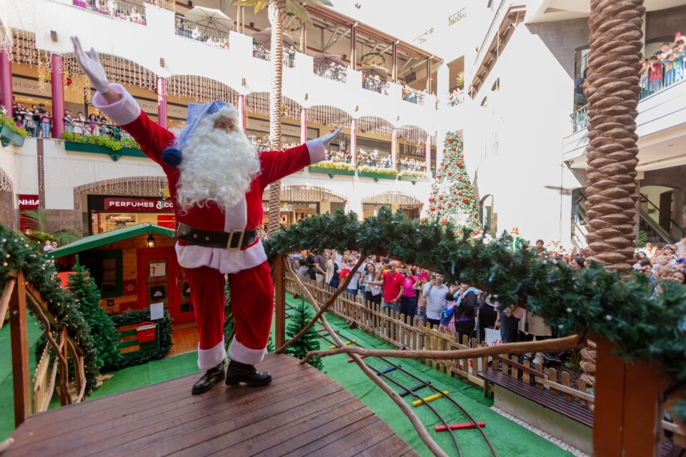 descarregar (4).jfif