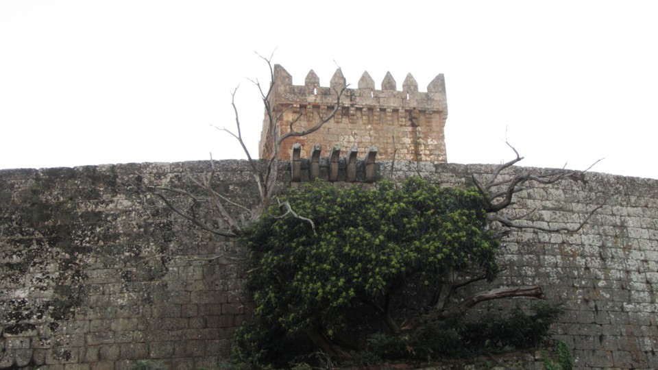 24 b2 - castanheiro castro.JPG 24 b2 - castanheiro castro.JPG