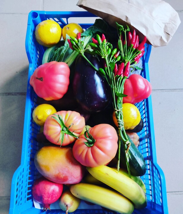 376238050_690592409764839_6339614407179068890_n.jp