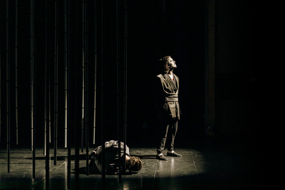 MATA 3 © Helena Tomás.jpg