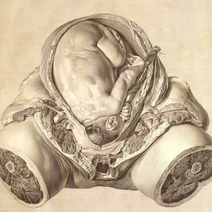 326273748_920522778973333_6651776776740712230_n.jp