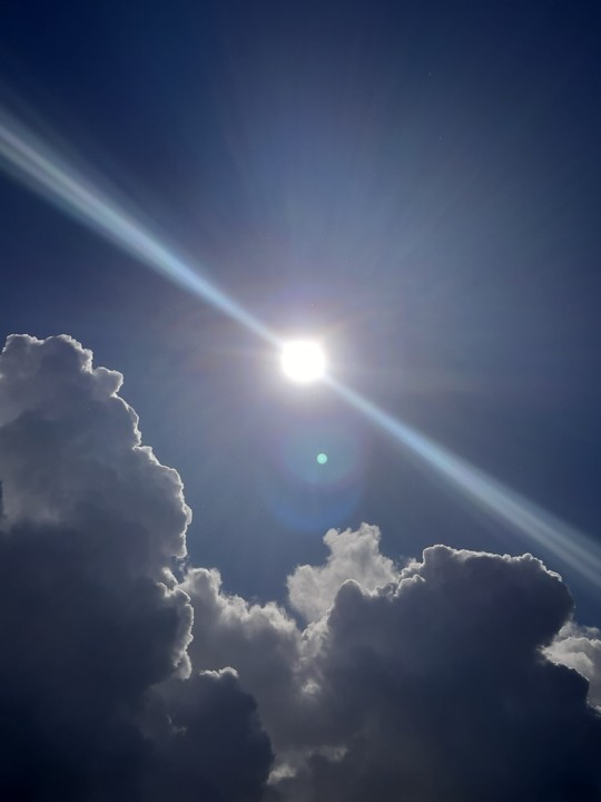 20201022_114445.jpg 20201022_114445.jpg