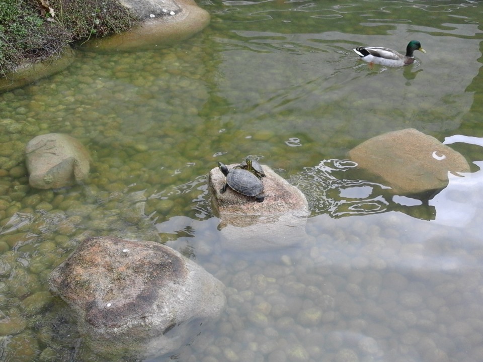 Foto Original. Gulbenkian. 2019. 03. jpg