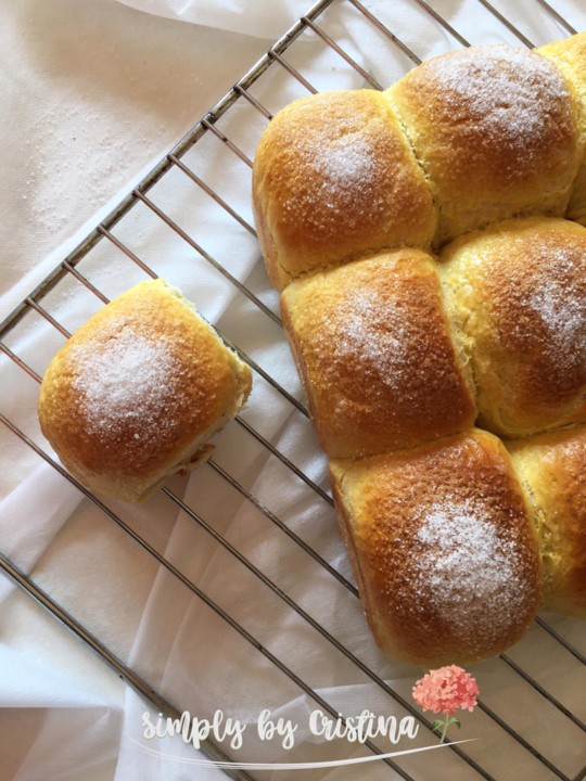 WhatsApp Image 2021-03-15 at 15.43.43.jpeg