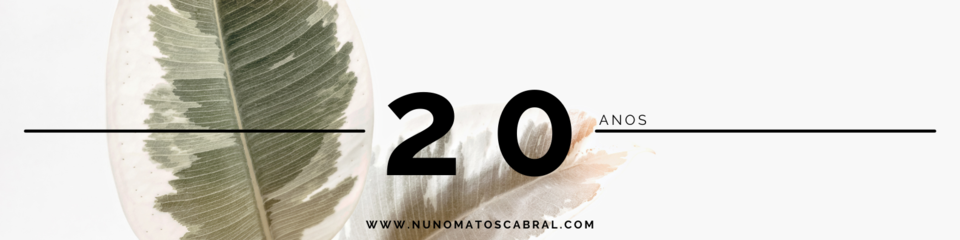 Nuno Matos Cabral Design Studio (4).png