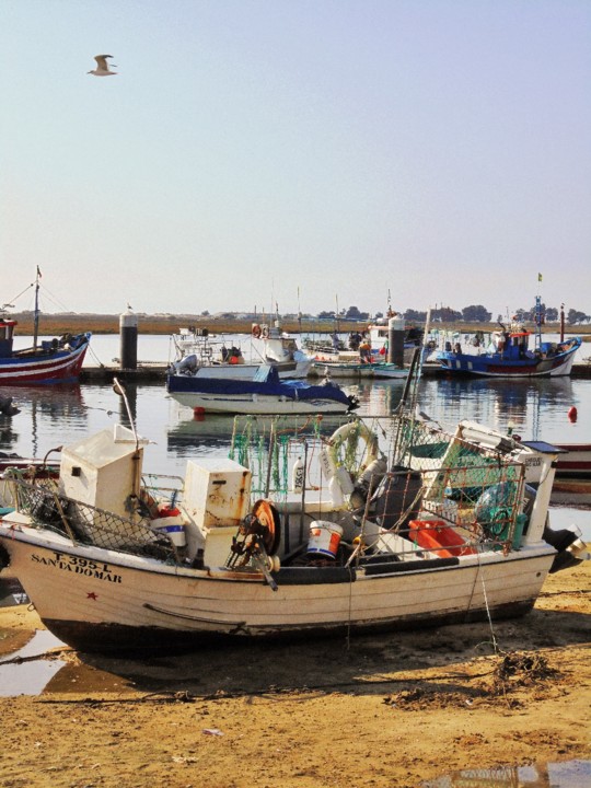 Cabanas de Tavira.JPG