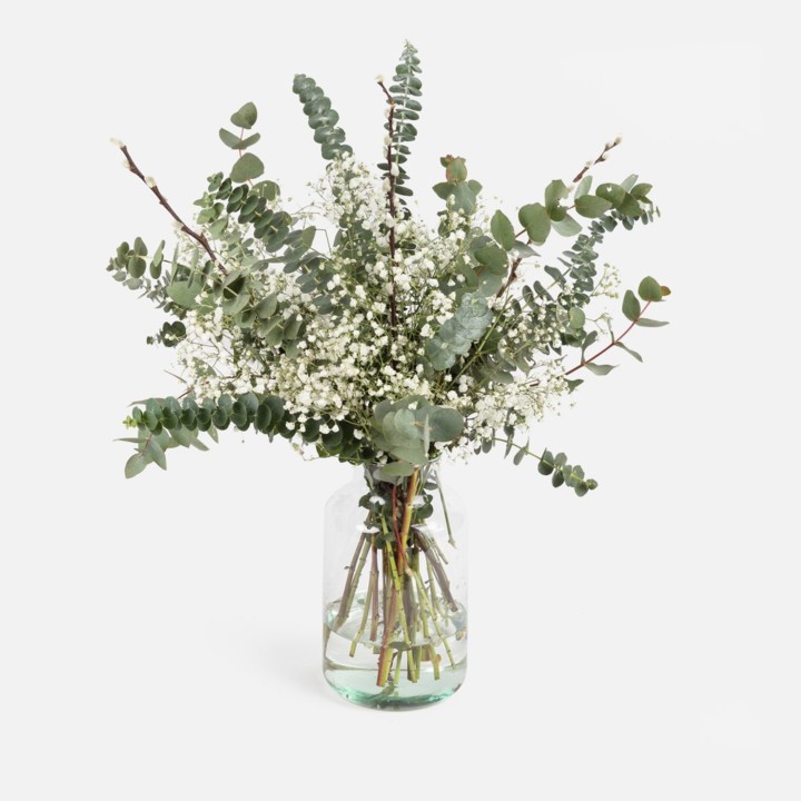 forest-biome-553b3b84-0f36-49f3-94b0-8edc5d23bc9e.