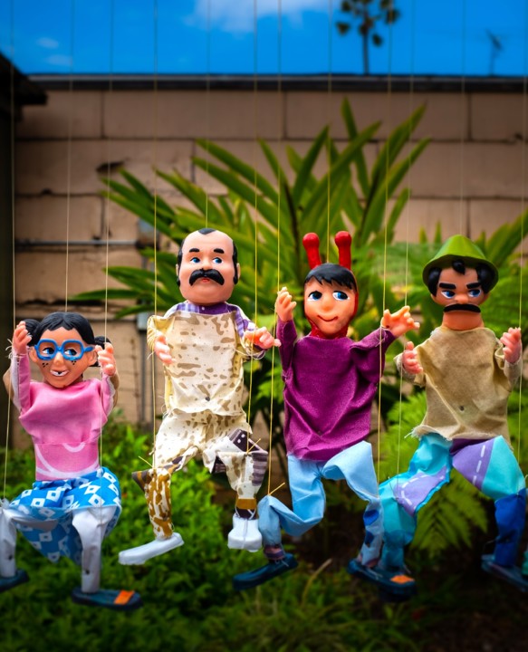 O Destino dos fantoches, Roberto Gamito