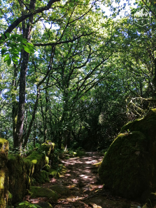 Photo_1598340764941.jpg Photo_1598340764941.jpg