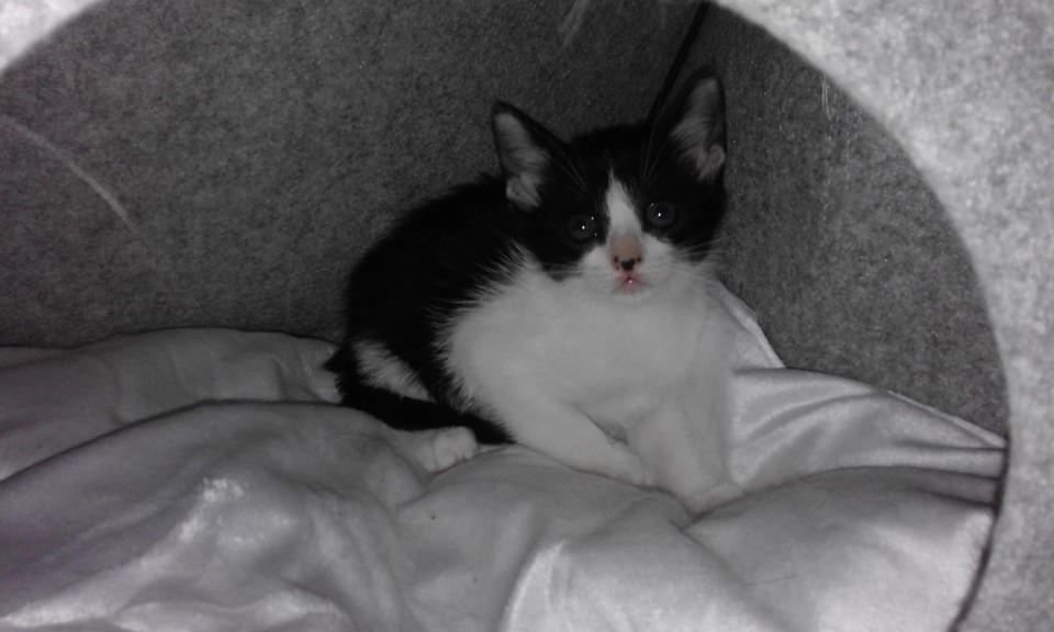 20190614_130114.jpg 20190614_130114.jpg