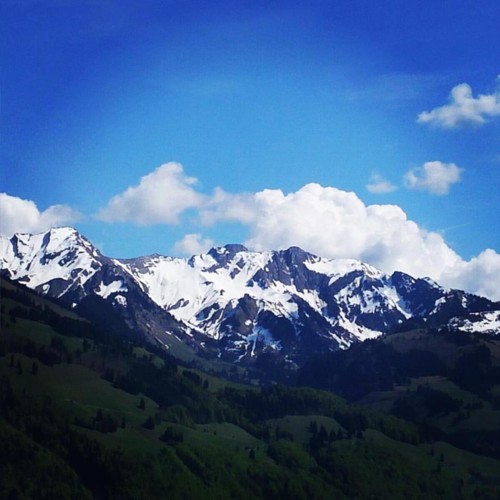 18556199_1447821545239607_6347235684131660112_n.jp