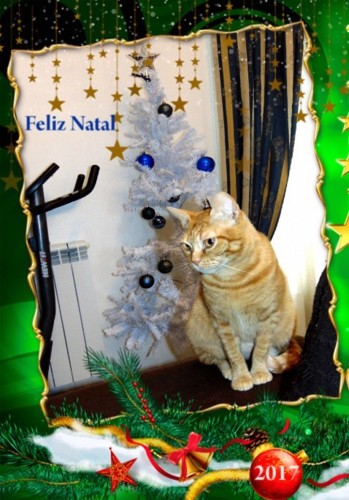 natalriscas.jpg natalriscas.jpg