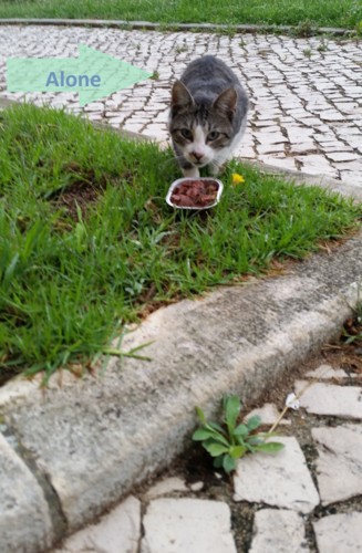 Aloneagain.jpg Aloneagain.jpg