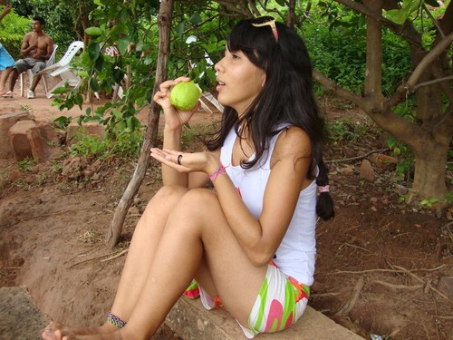 FLOR DO SERTÃO/POESIAS