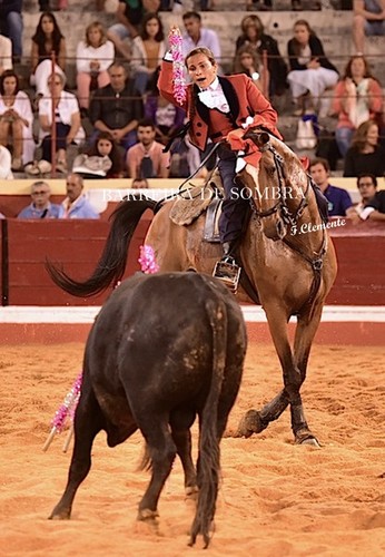 BARREIRA DE SOMBRA29-77-DSC_5653.JPG