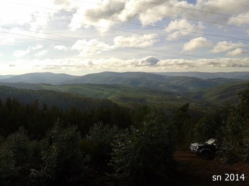 13. Sandra Nunes.jpg 13. Sandra Nunes.jpg