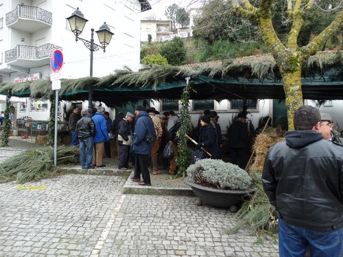 Feira do Queijo Em Seia !!! 035.jpg