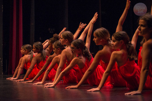 19647794571_c404bfe50e_o.jpg 19647794571_c404bfe50e_o.jpg