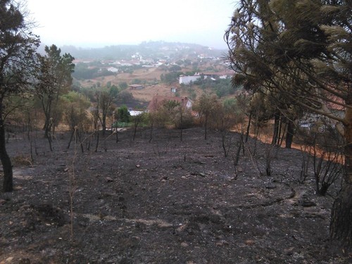 11200911_1116788708349041_8794218575138564941_n.jp