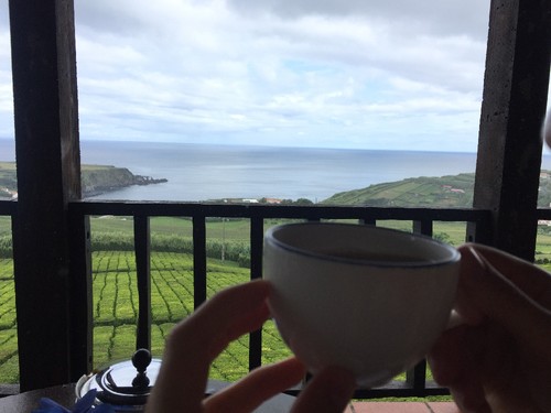 IMG_4253.JPG IMG_4253.JPG