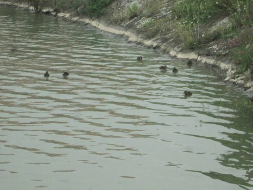 32983286_1652204174894881_7040562875550662656_n.jp 32983286_1652204174894881_7040562875550662656_n.jp