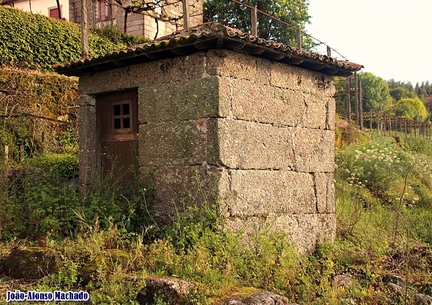 IMG_2626.JPG IMG_2626.JPG