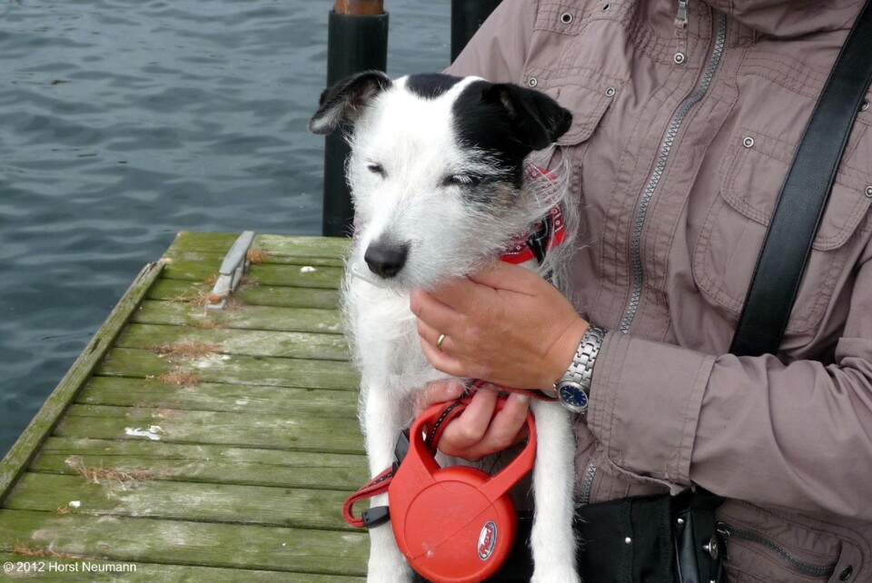 2012-08-28  Poeler Forellenhof 37.JPG