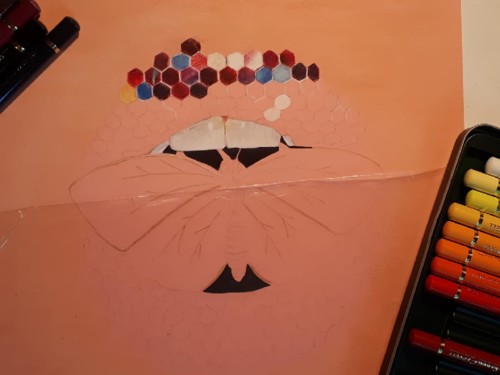 43135803_2301643759847305_8804558823655211008_o.jp