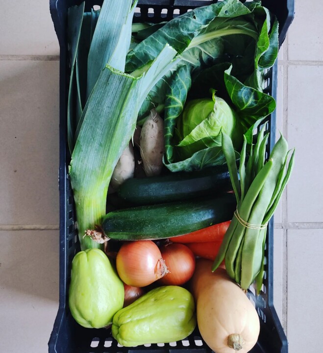 426694331_775707081253371_4885237346361060620_n.jp