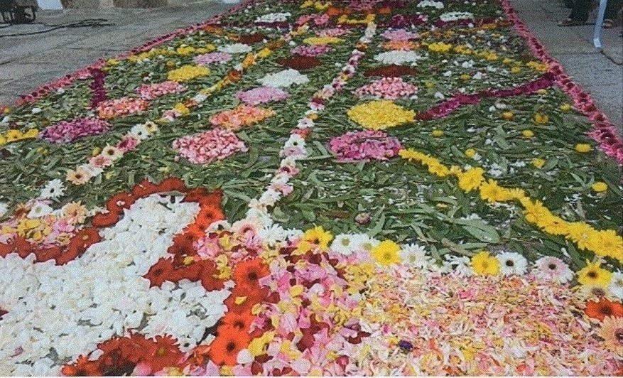 img348.jpg img348.jpg