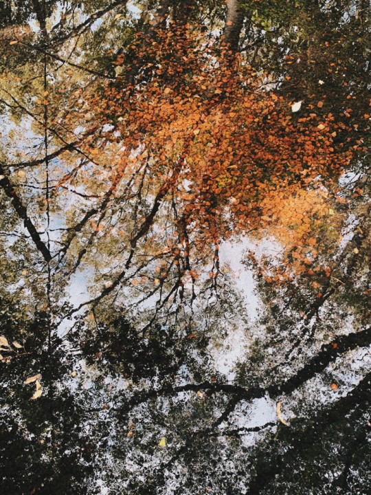 setembro9.JPG setembro9.JPG