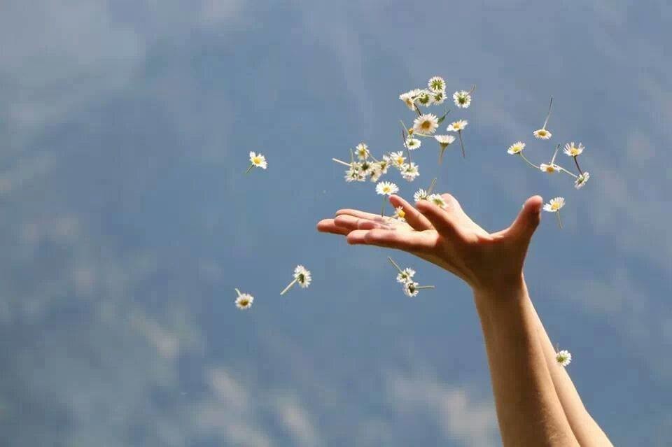 42593377_10209492337104912_8799823162649870336_n.j