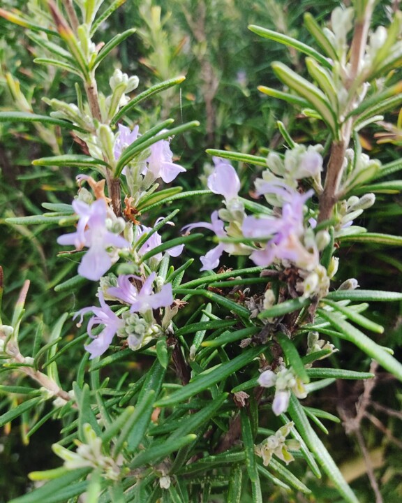 396709523_715881160569297_3225119617530754363_n.jp