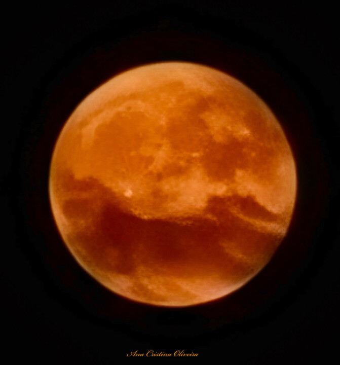 292703771_10223144772355369_2839601613288551347_n.