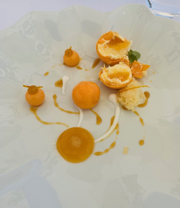 IMG_2377.jpg IMG_2377.jpg