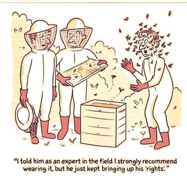 109521726_10217988440049364_7513799349628083904_n.