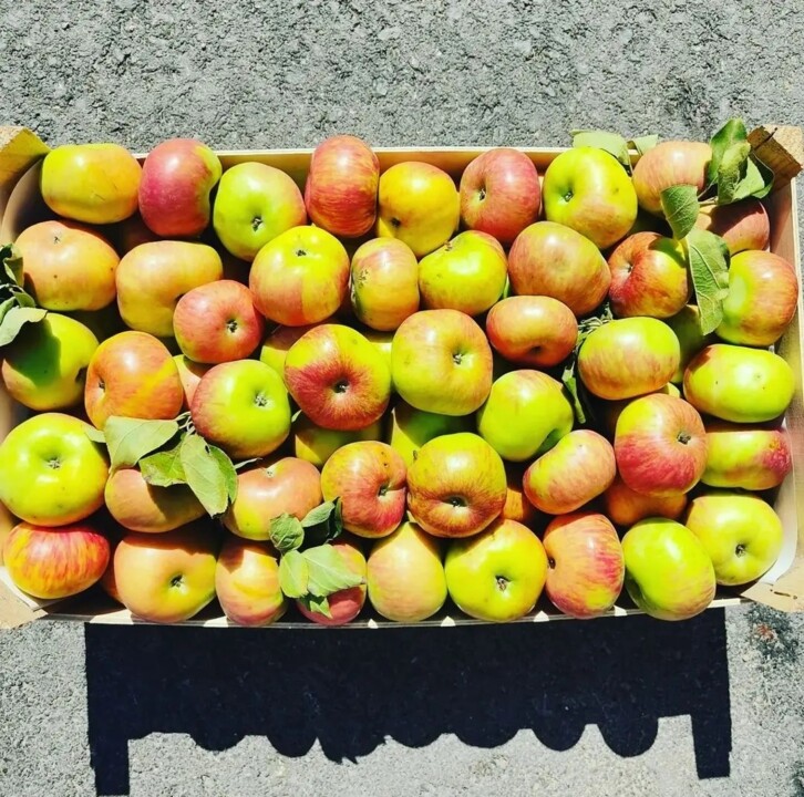 451236987_872259404931471_7754759640524694530_n.jp