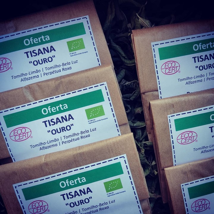 164518022_1981056665367418_337622358626010673_o.jp