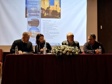 19a_Reunião_CFAE_norte_Caldas_da_Taipas (13).jpg