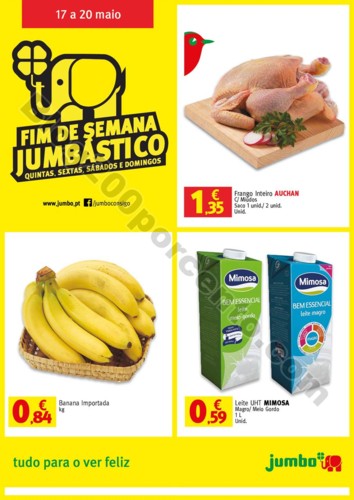 FD_17a20Mai2018_01.jpg