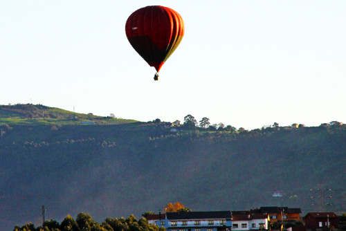 Proposta da Mula.jpg